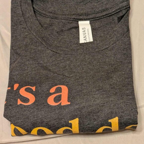 Bella Canvas Graphic Tee Womens Medium It's a Good Day to Play Pickleball Top - Picture 7 of 13